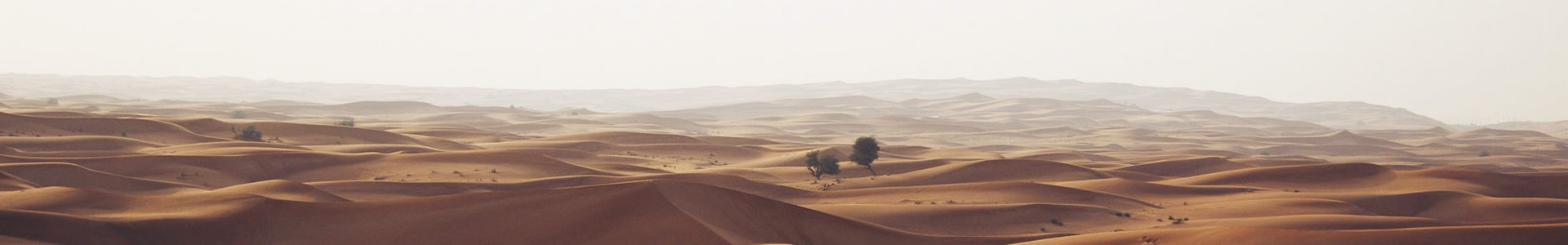໷Ƽ޹˾